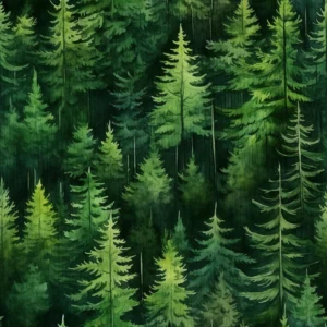 Forest Background 5